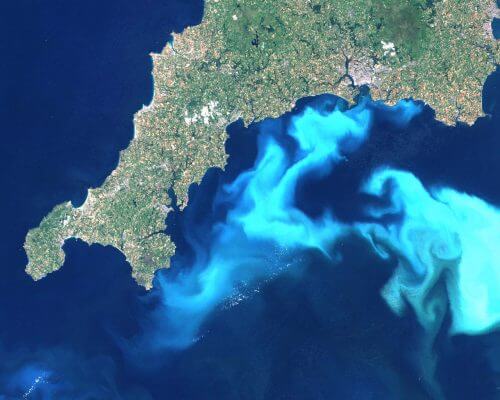 Phytoplankton bloom of the species Emiliania huxleyi, photographed from space. Source: Landsat image from 24th July 1999, courtesy of Steve Groom, Plymouth Marine Laboratory.
