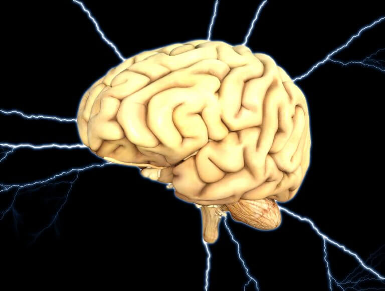 הבדלים בין המינים במוח האנושי הובילו לתפיסה שמוחות הם זכריים או נקביים. מחקר מאת דפנה יואל מאוניברסיטת תל אביב ועמיתיה, מספר סיפור אחר. אילוסטרציה: pixabay.