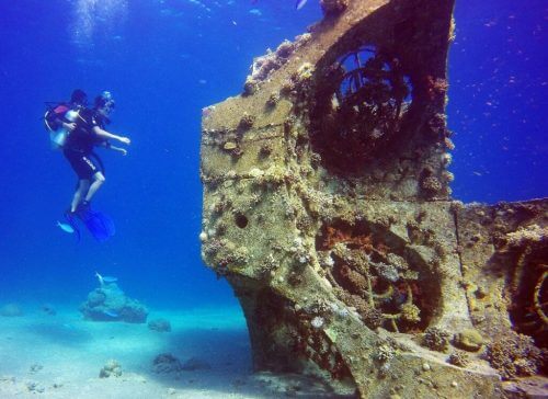 The artificial coral reef Tamar. Photo: Dr. Jenny Tinakov.