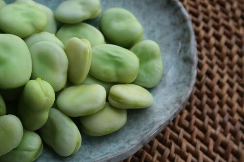 broad bean. Source: Richard WM Jones / wikimedia