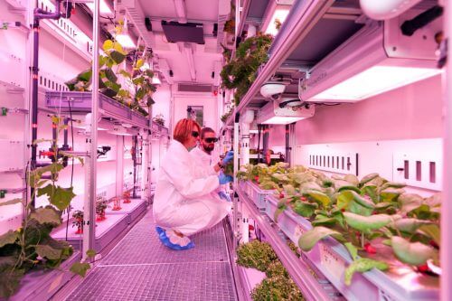 42 LED lamps that emit light in red and blue wavelengths give the greenhouse a kind of oval glow. Photo: Bruno Stubenrauch / EDEN ISS.