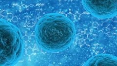 הגילוי יאפשר לטפל בשורה של מחלות הנוצרות כתוצאה מהצטברות חלבונים בתאים. אילוסטרציה: pixabay.