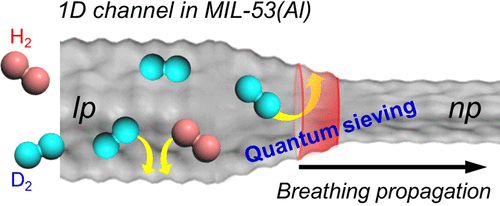 מנגנון 'הנשימה' (התרחבות והתכווצות) של החומר הנקבובי MIL-53(Al) [באדיבות: UNIST] 
