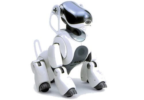 איך נובחים ברובוטית? אייבו של סוני, מודל 2018. צילום: יח"צ