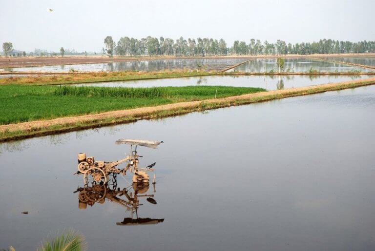 The Mekong Delta in Vietnam. Photo: Thomas Schoch – www.retas.de GFDL CC BY-SA 3.0