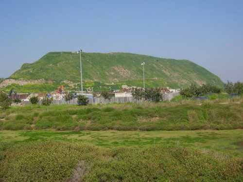 حرية الصورة: د. أفيشاي تيخر، ويكيميديا ​​كومنز.