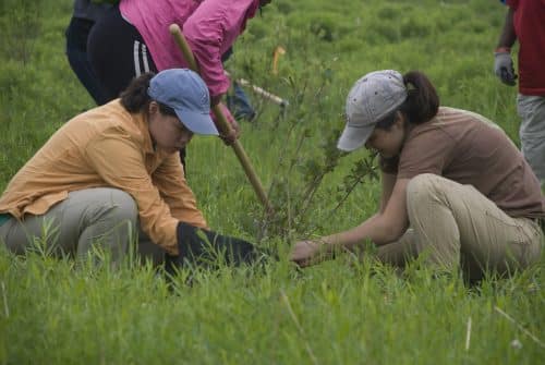 Planting trees: forests absorb carbon, stabilize climate and prevent soil erosion. Source: Chris Poulin/USFWS.