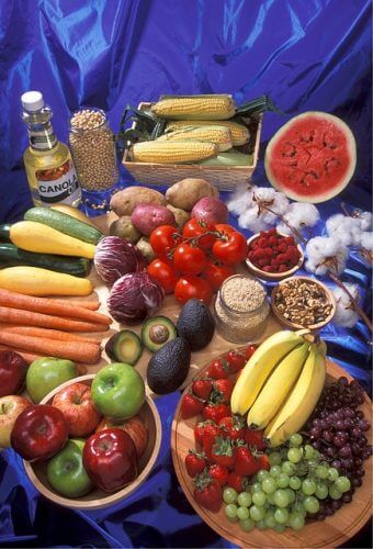 ירקות ופירות מהונדסים גנטית איור: מתוך PIXABAY.COM