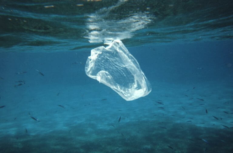A plastic bag at sea. Source: Ben Mierement, NOAA NOS (ret.