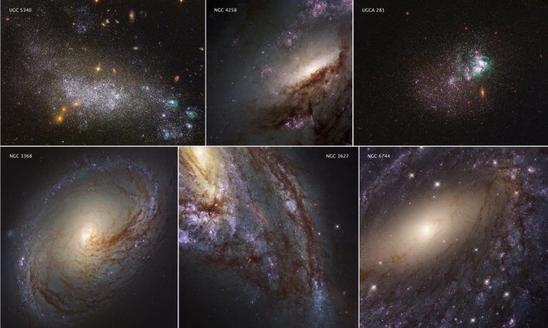 These six images represent the variety of star-forming regions in nearby galaxies. The galaxies are part of the Hubble Space Telescope's Legacy ExtraGalactic UV Survey (LEGUS). This is the largest and most comprehensive survey of ultraviolet (UV) light observations of star-forming galaxies in the near Universe. the neighbor The six images include two dwarf galaxies (UGC 5340 and UGCA 281) and four large spiral galaxies (NGC 3368, NGC 3627, NGC 6744 and NGC 4258). The images are a mixture of ultraviolet and visible light from Hubble's Wide Field Camera No. 3 and its Advanced Survey Camera. CREDIT: NASA/ESA/LEGUS TEAM
