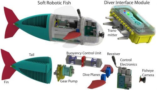 מבנה הרובוט-דג. איור: Robert Katzschmann et al., MIT CSAIL