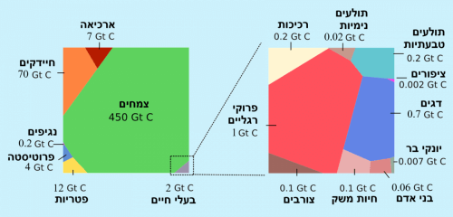 The weight of life: the relative share of kingdoms and species in the total biomass of the Earth, in gigatonnes of carbon. Prof. Ron Milo, Weizmann Institute