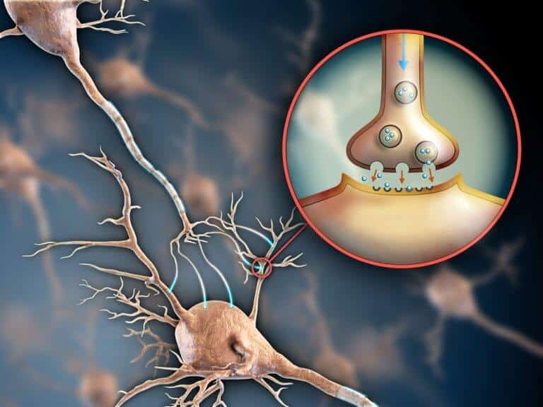 Neurons communicate with each other. Illustration: shutterstock