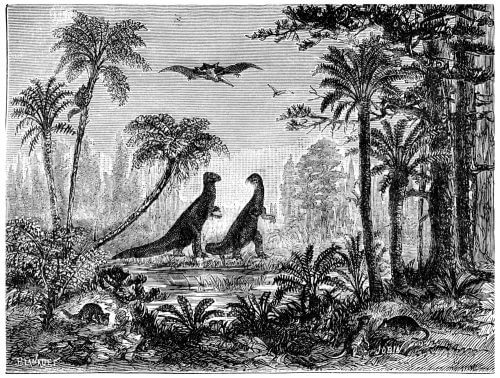 A landscape during the time of the dinosaurs. Illustration: shutterstock