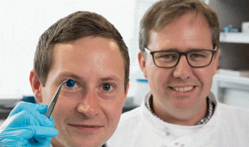 Dr. Steve Swioklo and Professor Che Connon with the colored cornea [Courtesy: Newcastle University, UK]
