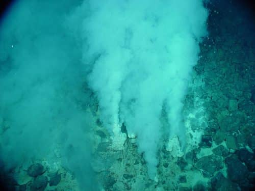 Hot springs within the ocean, 4.2 billion year old bacteria were discovered in these environments. From Wikipedia