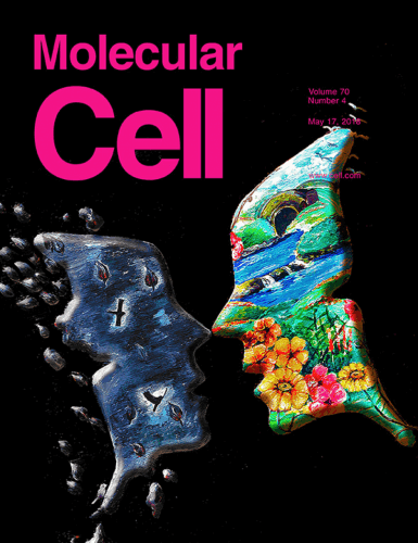 Illustration of the dual roles of caspase-3 - cell death and cell division - on the cover of Molecular Cell, courtesy of the journal