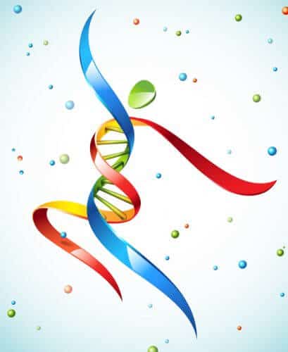 גנים קופצים. המחשה: shutterstock