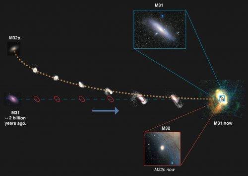 يوضح الشكل كيف مزقت مجرة ​​المرأة المسلسلة (M31) المجرة الكبيرة M32p إلى أجزاء وتركت وراءها مجرة ​​قزمة M32 تحيط بالمرأة المسلسلة. وهذه المجرة هي ما تبقى من قلب المجرة العملاقة. جميع النجوم الأخرى موجودة حاليا في الهالة المحيطة بالمرأة المسلسلة. رسم توضيحي: ريتشارد ديسوزا. صورة أندروميدا من باب المجاملة وي هاو وانغ. صورة هالة نجوم M31 أندروميدا مقدمة من AAS/IOP.