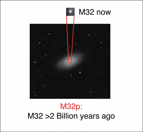 كانت المجرة الحالية M32 منذ حوالي 2 مليار سنة قلب مجرة ​​أكبر M32P، وهي ثالث أكبر مجرة ​​في المجموعة الكونية. رسم توضيحي: رسم توضيحي: ريتشارد ديسوزا.