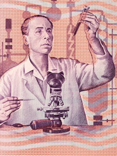 Scientist in the lab. Illustration: shutterstock