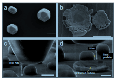  מבחני דחיסה של חלקיקי ניקל, כפי שהם נראים במיקרוסקופ אלקטרונים סורק ברזולוציה גבוהה. a ו-c מציגים את החלקיקים לפני הדחיסה. b ו-d - אחרי הדחיסה