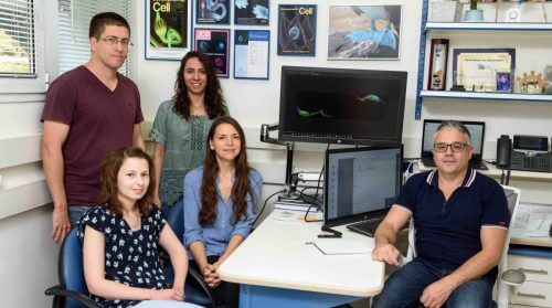 From the right: Prof. Eli Arma, Elena Spozhnikov, Dr. Lama Traira Abraham, Dr. Anna Gorlik-Ashkenazi and Dr. Ron Weiss. Photo: Weizmann Institute Spokesperson