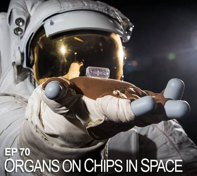 An organ on a chip in the space station. Illustration: Spice Pharma
