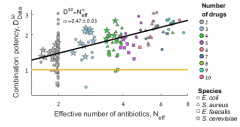 בתרשים: הכמות הכללית של אנטיביוטיקה הדרושה לעיכוב עולה כמו שורש מספר התרופות השונות בקוקטייל. כל נקודה בתרשים מייצגת שילוב של 10-2 אנטיביוטיקות שונות. אפשר לראות שכאשר מעלים את מספר האנטיביוטיקות השונות בשילוב הכמות הדרושה מכל אחת מהתרופות יורדת (שיפוע הגרף α קטן מאחד), בעוד הכמות הכללית עולה. איור, פרופ' רועי קישוני, הטכניון