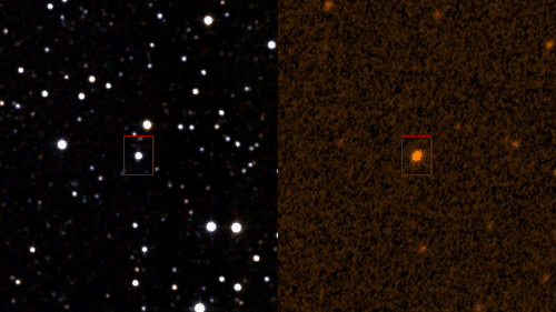 KIC 8462852 בצילומי אולטרה-סגול ואינפרא-אדום. מקור: IPAC/NASA, STScI (NASA), Wikimedia.