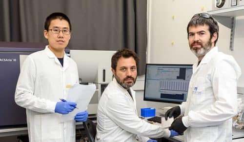 Dr. Ido Yaffe, Dr. Yaniv Lubling and Dr. Henji Lee. Fatigue is a big face for her. Photo: Weizmann Institute spokeswoman