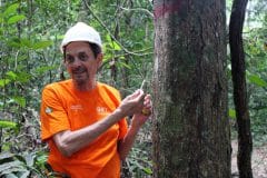 שומר יערות. צילום: shutterstock.com