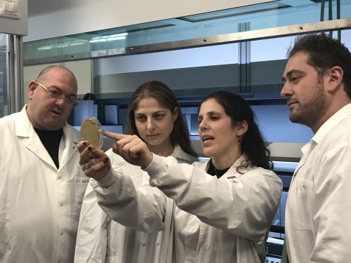 צוות המחקר במרכז בלווטניק לפיתוח תרופות באוניברסיטת תל אביב. מימין לשמאל- ד״ר אדי פיצ׳נוק, ד״ר דנה לאור, ד״ר חמוטל אנגל וד״ר אבי רווה. צילום: Abashidze Anastasiam