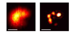 הרבה יותר פרטים: ננו-גבישים כפי שהם נראים באמצעות שיטת המיקרוסקופיה שפיתחו מדעני מכון ויצמן למדע (מימין) וכפי שהם נראים במיקרוסקופ אור רגיל (משמאל). קנה המידה: 0.5 מיקרון