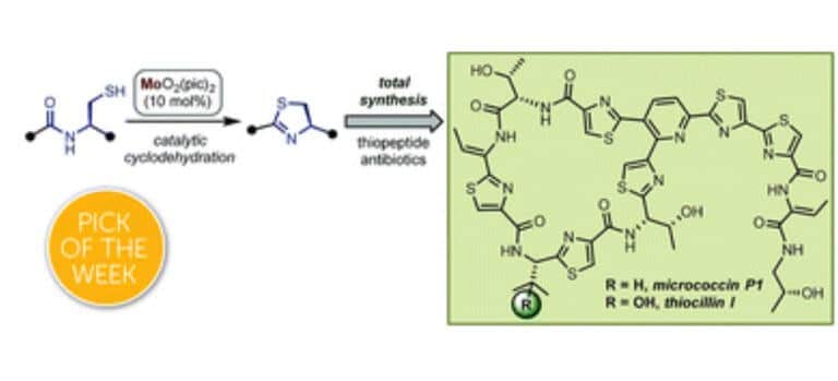 Synthesis of thio-peptides using a molybdenum catalyst