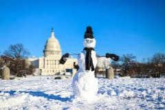 שלג בוושינגטון, 14/1/2019. צילום: Shutterstock.com