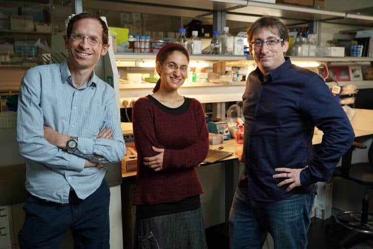 (From right to left): Dr. Yishai Pickman, PhD student Ayelet Alpert and Prof. Shai Shen-Or. Photo: Nitzan Zohar, Technion Spokesperson