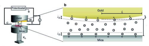 The device that allowed the scientists to measure the forces acting in a nanoslit between a gold surface and a mica surface