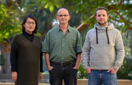 From the right: Israel Kellerstein, Prof. Daniel Wagner and Dr. Xiaomeng Sui. Imitation of life. Photo: Weizmann Institute spokesperson