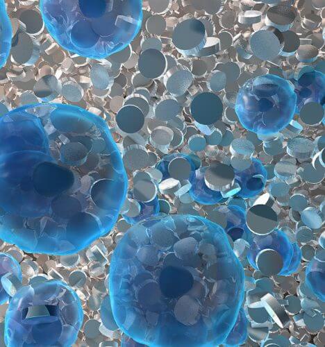  ננו-חלקיקים דו-מימדים המגיבים עם תאי גזע ומכווינים את ההתמיינות שלהם לתאי סחוס [באדיבות: Texas A&M University College of Engineering]