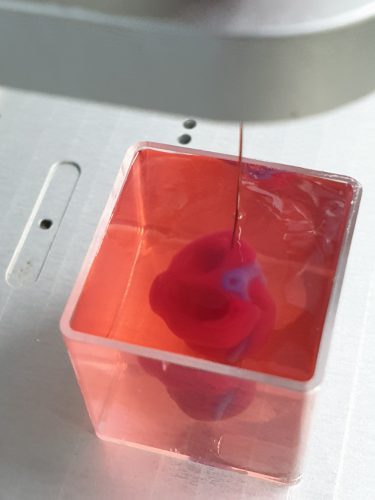 XNUMXD heart printing process. Photo: Tel Aviv University spokesperson
