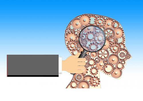 חקר המוח. איור מתוך PIXABAY.COM