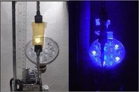 Polymer (left; whitish substance) that shrinks in response to blue light (right). [Courtesy: Jonathan Barnes], University of Washington