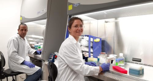 From right to left: Dr. Michal Feldman and Dr. Dan Levy in the laboratory Photo: Little Vale