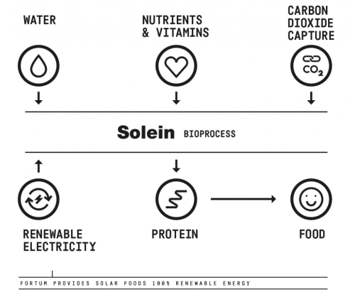 הסבר גרפי של תהליך ייצור מזון סינטתי