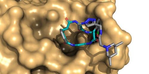 Artist's rendering of a macroring binding to a target protein (image courtesy: University of Basel, Basilius Sauter | CC BY-SA 3.0)