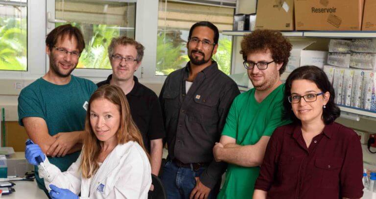 From the right: Dr. Ronit Nir, Ran Shahar, Miguel Engel Garcia-Campos, Dr. Modi Safra, Dr. Sharit Adelheit-Flor and Dr. Shraga Schwartz. There are many tags in the cell. Photo: Weizmann Institute Spokesperson