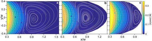 Velocity field reconstruction using flow tracer microparticle images. Prof. Victor Steinberg, Weizmann Institute