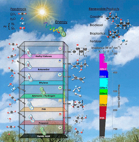 Schematic of bacterial factories that consume carbon dioxide/water/nitrogen/oxygen and emit gasoline/bio-fuel/bio-plastic/fertilizers when exposed to sunlight [image from the article describing the study]