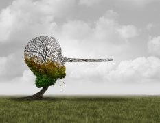 הכחשת שינויי האקלים. איור: shutterstock